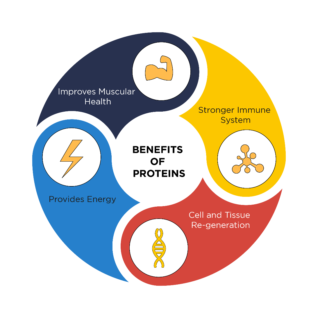 building blocks of proteins